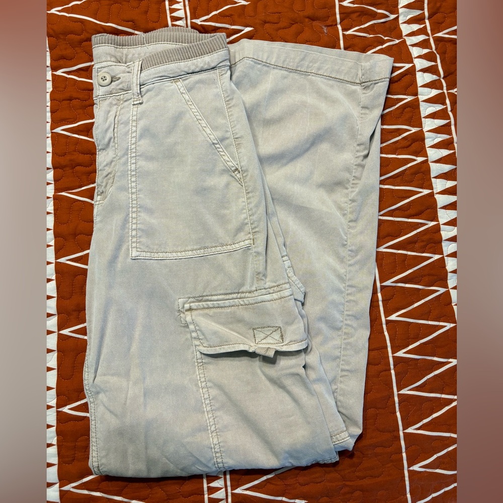 AE Utility Cargo Pants